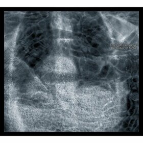 FEAR FALLS BURNING - BIRCHVILLE CAT MOTEL