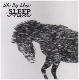 BIG SLEEP - SLEEP FOREVER