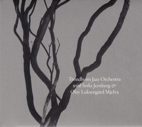 TRONDHJEIM JAZZ ORCHESTRA - TRONDHJEIM JAZZORKESTER..