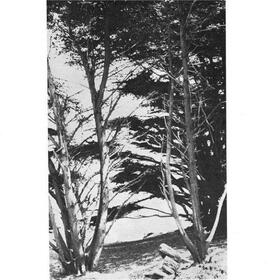 DEITRICK, RICK - GENTLE WILDERNESS