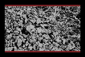 COYKENDAL, MIKE - HALF PAST PRESENT PENDING