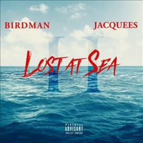 BIRDMAN - LOST AT SEA