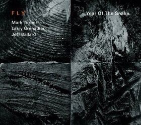 FLY - YEAR OF THE SNAKE
