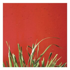 MCCORMICK, MATT - VERY STEREO