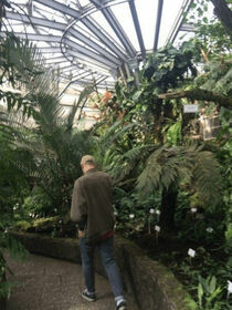 CHMMR - TRY NEW THINGS