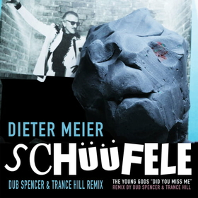 MEIER, DIETER - SCHUUFELE/DID YOU MISS ME