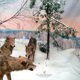 JEALOUS SOUND - GENTLE REMINDER