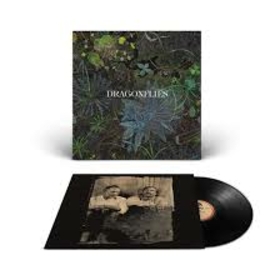DRAGONFLIES - DRAGONFLIES -HQ-