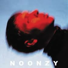 NOONZY - PLAN IS BAD