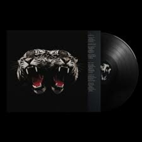 ROYAL BLOOD - DEAD COMPANY -HQ-