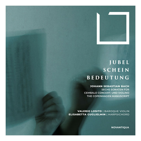LOSITO, VALERIO  - JUBEL, SCHEIN, BEDEUTUNG  J.S. BACH SON