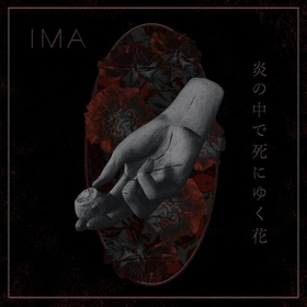 IMA - FLOWERS DIE IN BURNING..