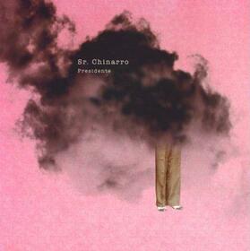 SR. CHINARRO - PRESIDENTE