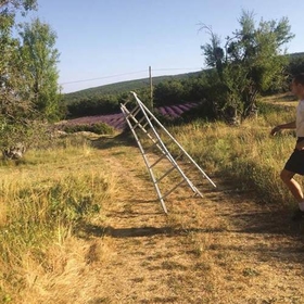 CAROLINE - DARK BLUE