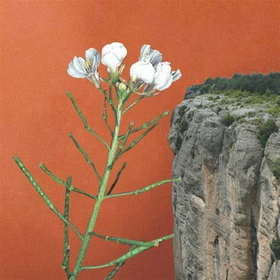 ANDREU, ANNA - TOTS ELS CINGLES