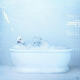 COSMOS, FRANKIE - VESSEL