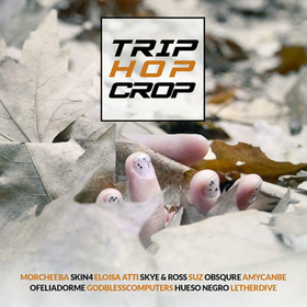 VARIOUS ARTISTS - TRIP HOP CROP