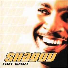 SHAGGY - HOT SHOT -NEW VERSION-