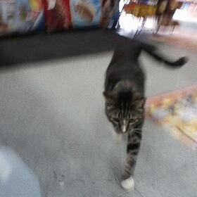 SUN KIL MOON - I ALSO WANT TO DIE IN..