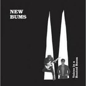 NEW BUMS - VOICES IN A RENTED ROOM