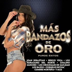 VARIOS ARTISTAS - MAS BANDAZOS DE ORO