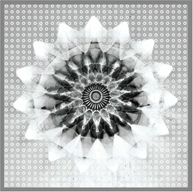 HASSELL, JON VS 808 STATE - VOICEPRINT