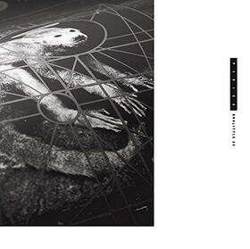 PIXIES - DOOLITTLE 25