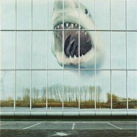 BLACK MOUNTAIN - WILDERNESS HEART