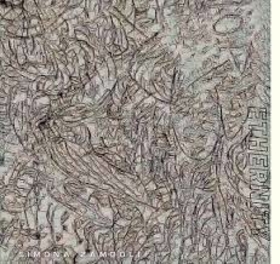 ZAMBOLI, SIMONA - ETHERNITY -HQ-