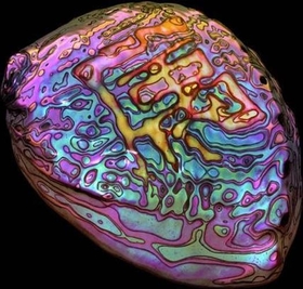 CHANG, IAN - BELONGING -COLOURED-