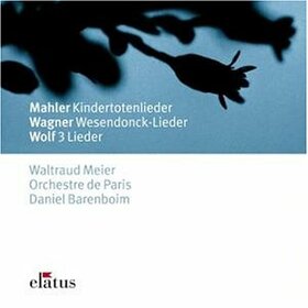 VARIOS ARTISTAS - LIEDER