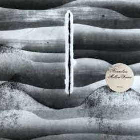 CORNELIUS - MELLOW WAVES