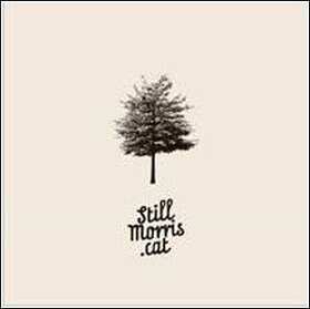 MORRIS, STILL - STILLMORRIS.CAT