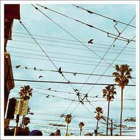 COMO VIVIR EN EL CAMPO - CVEEC 3