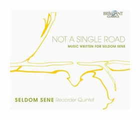 SELDOM SENE - NOT A SINGLE ROAD