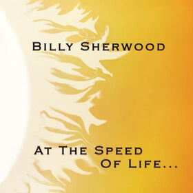 SHERWOOD, BILLY - AT THE SPEED OF LIFE