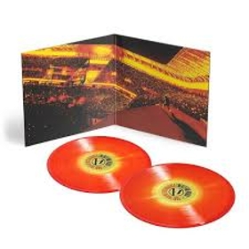 TWENTY ONE PILOTS - MORE THAN WE EVER IMAGINED -LTD-