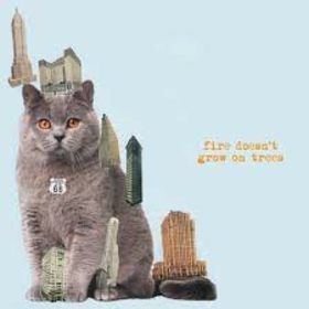 BRIAN JONESTOWN MASSACRE - FIRE DOESN'T GROW ON TREES -HQ-