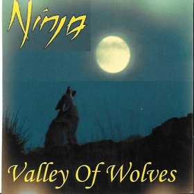 NINJA - VALLEY OF WOLVES