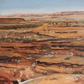 POSSUM MOODS - NORTHERN TIMES