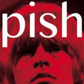 BRIAN JONESTOWN MASSACRE - MINI ALBUM THINGY WINGY