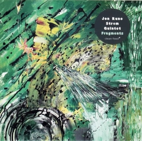 RUNE STROM, JON - FRAGMENTS