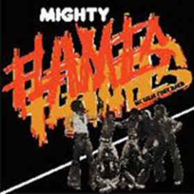 MIGHTY FLAMES - METALIK FUNK BAND