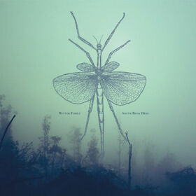 WINTER FAMILY - SOUTH FROM HERE