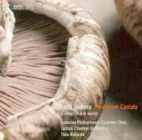 SUMERA, L. - MUSHROOM CANTATA/CONCERTI