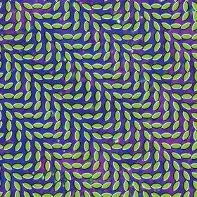ANIMAL COLLECTIVE - MERRIWEATHER POST PAVILLION -HQ-
