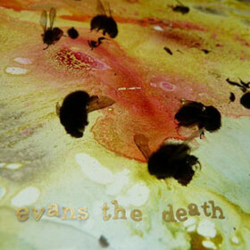 EVANS THE DEATH - EVANS THE DEATH