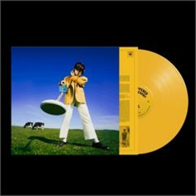 MCKENNA, DECLAN - WHAT HAPPENED TO THE BEACH? -LTD YELLOW-