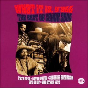 SOUL, SENOR - WHAT IT IS Y'ALL-BEST OF