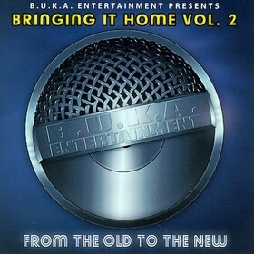 VARIOS ARTISTAS - BRINGING IT HOME VOL.2